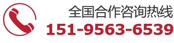 15195636539
